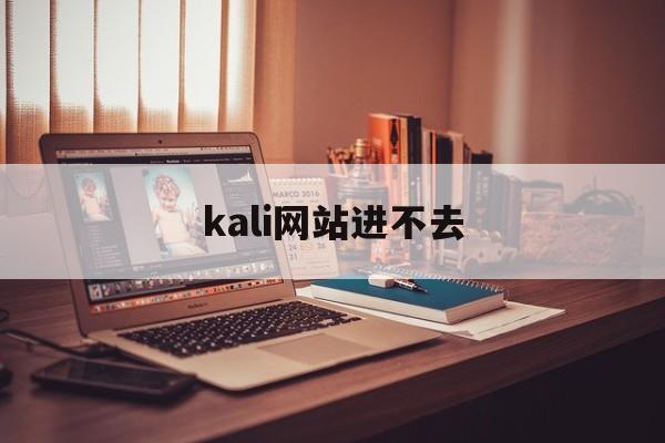 kali网站进不去_kali网络浏览器打不开